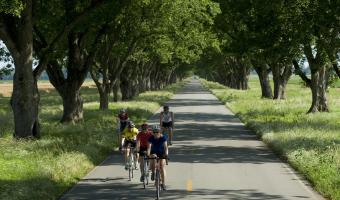 Harper's Loop Cycling Trail