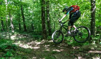 Upper Buffalo Mountain Biking Trail