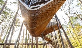 The Bob and Sunny Evans Tree House can be found within the Evans Children’s Adventure Garden section of Garvan Woodland Gardens.