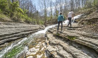 Tanyard Creek in Bella Vista