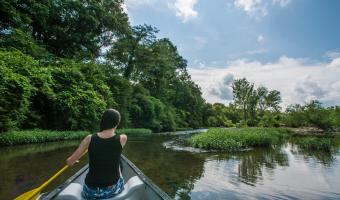 Caddo River 