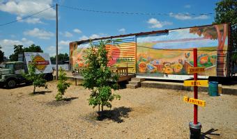 Farmer's Market in Lake Village, Arkansas