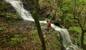 Panther Bluff Falls
