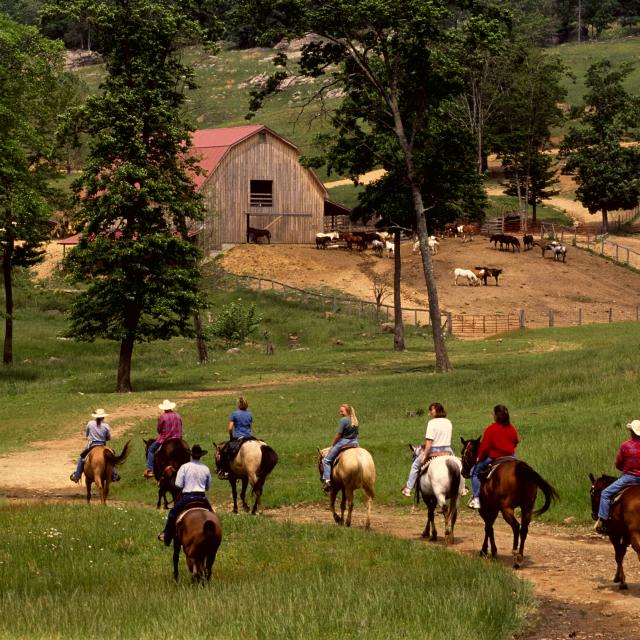 Horseshoe Canyon Ranch