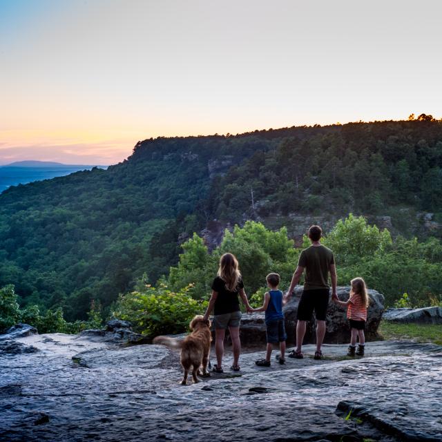 Petit Jean Overlook