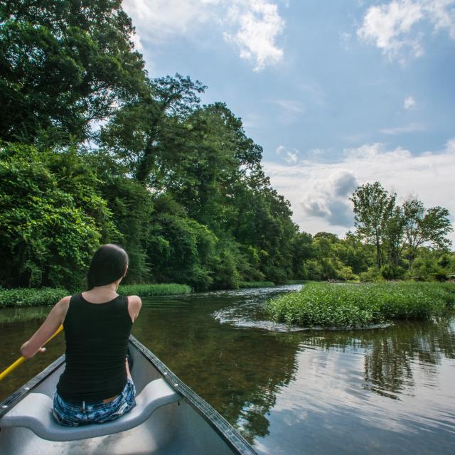 The Caddo River in Glenwood