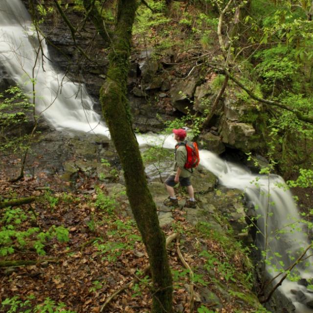Panther Bluff Falls