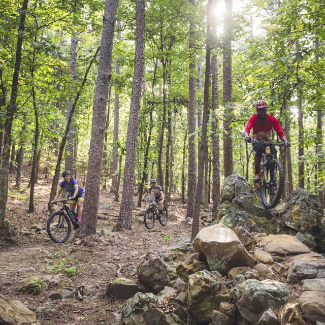 Mountain Biking on the Pinnacle Mountain Monument Trail