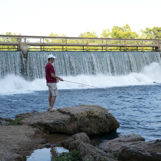 A fisherman casts his line downstream of the dam at Mammoth Spring State Park