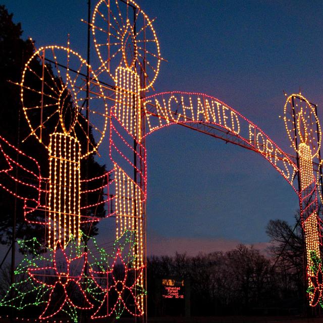 Enchanted Forest Arch at the Sherwood Holiday Lights Display