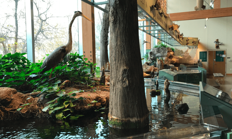 Central Arkansas Nature Center