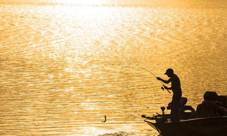 Lake Ouachita 