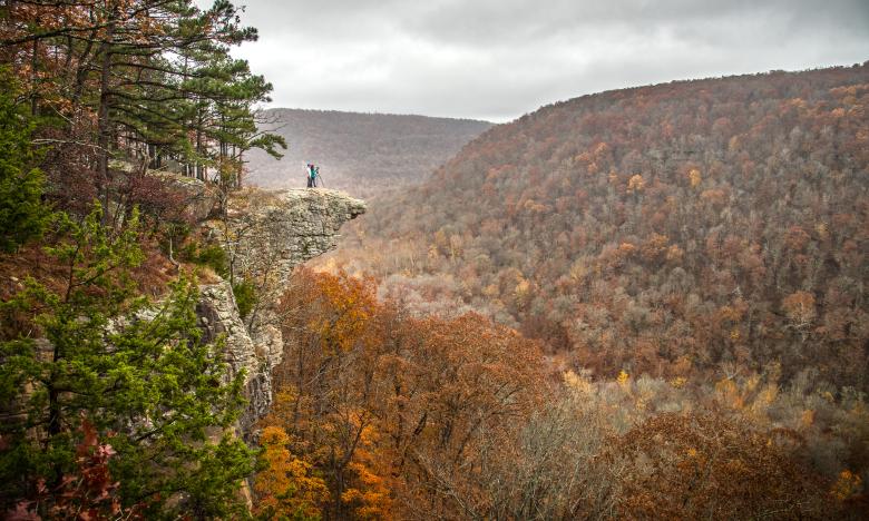 Whitaker Point