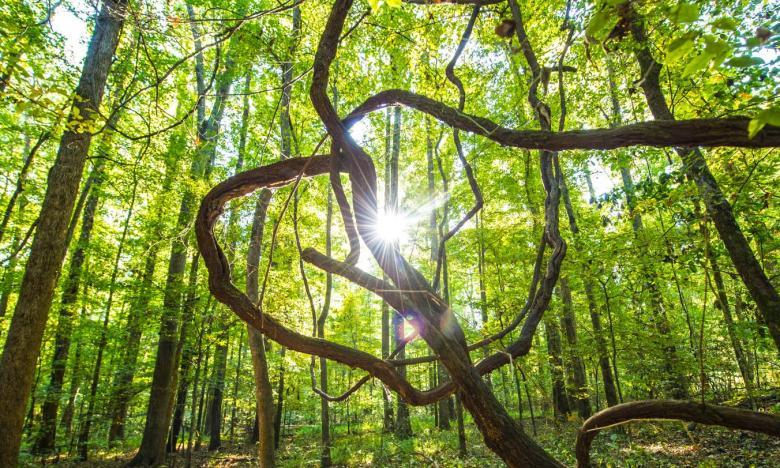The Great River Road National Scenic Byway