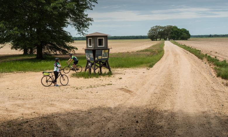 Riding a gravel grinder trail along the Delta Heritage Trail