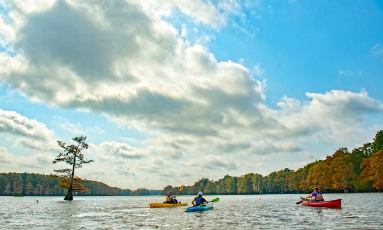 The St. Francis Sunken Lands Water Trail 