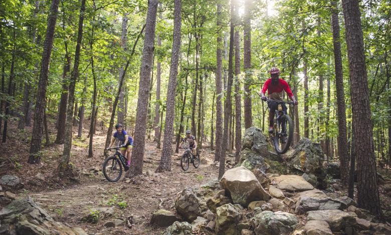 Mountain Biking at the Pinnacle Mountain Monument Trail 