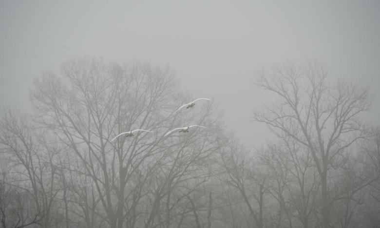 Fog sets in over Magness Lake in Hot Springs