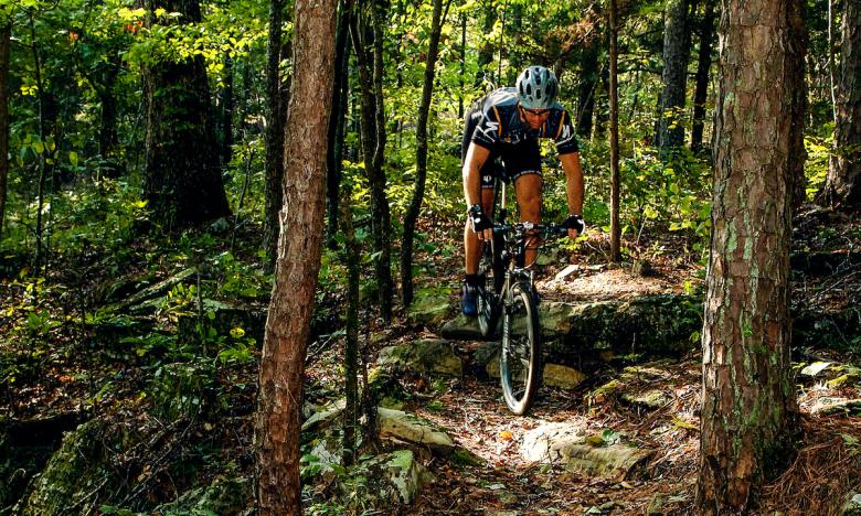 Syllamo Mountain Bike Trail