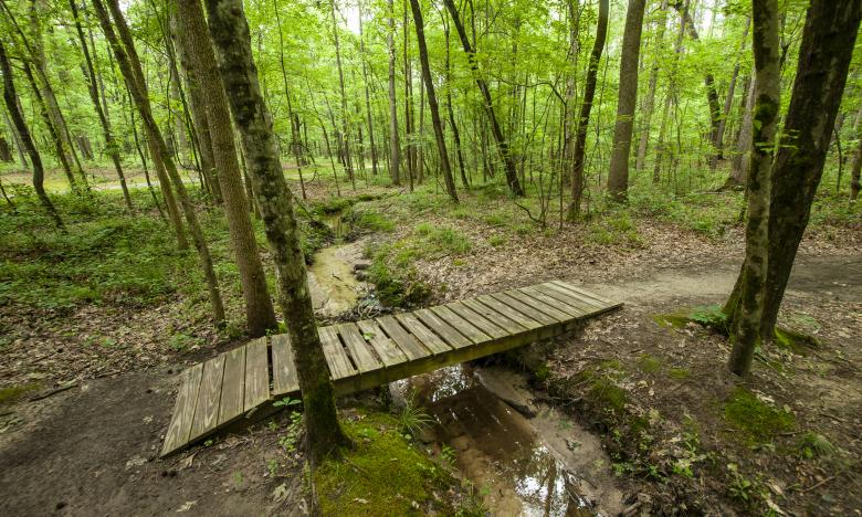 Bridge over a creek at the Mills Park Natural Area