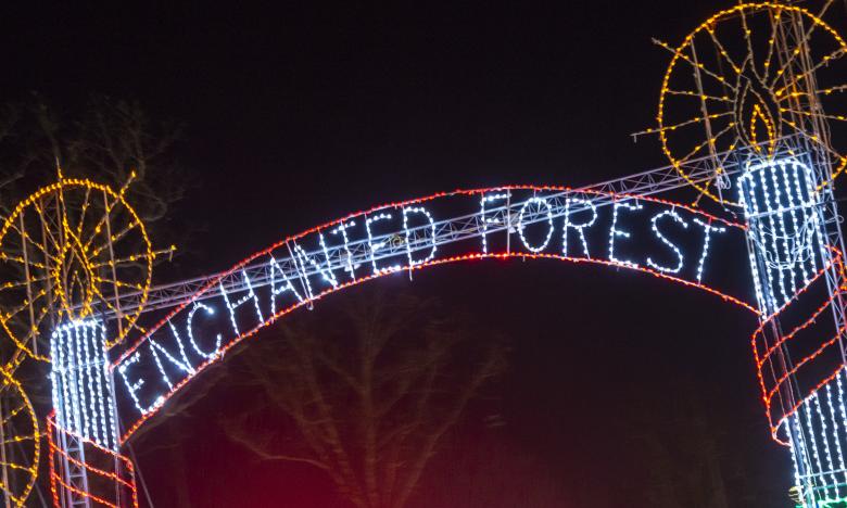 Lighting Up for the Holidays!