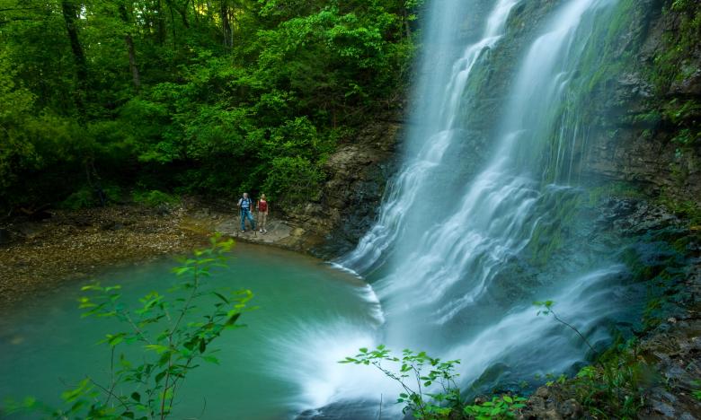 Twin Falls near Jasper