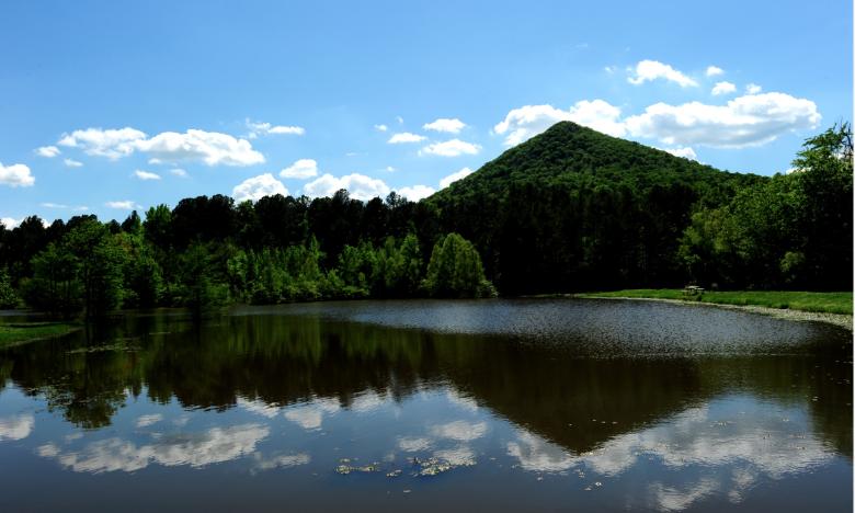 The beauty of Pinnacle Mountain State Park 