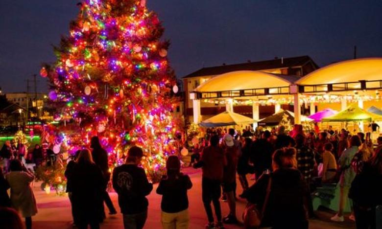 Crowd gathers to watch the Springdale Christmas tree lighting