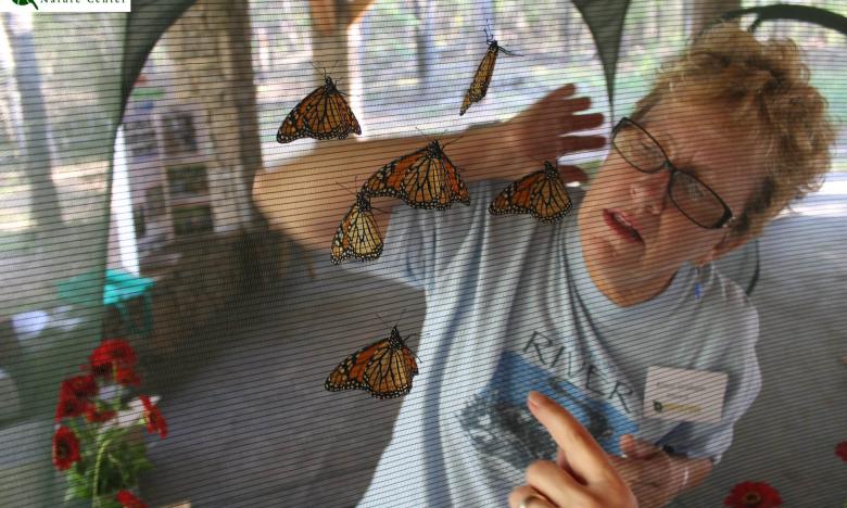 Butterfly release at South Fork Nature Center