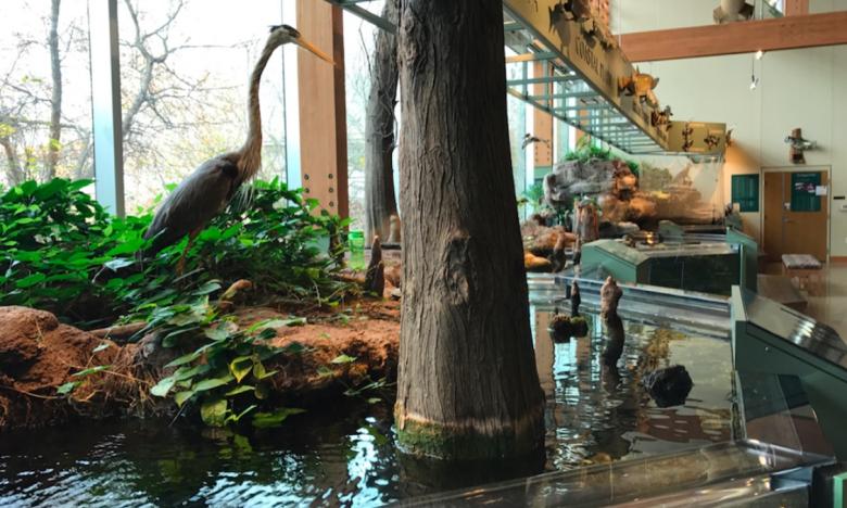 Inside the Central Arkansas Nature Center in Little Rock.