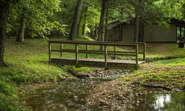 Withrow Springs State Park Bridge