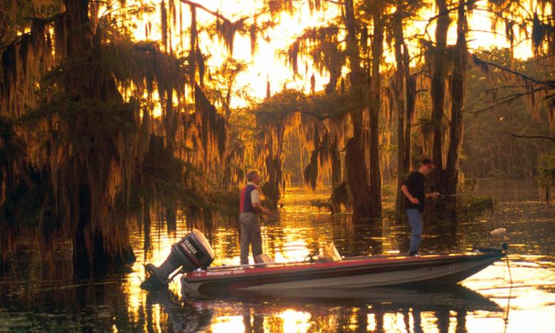 Bayou Bartholomew
