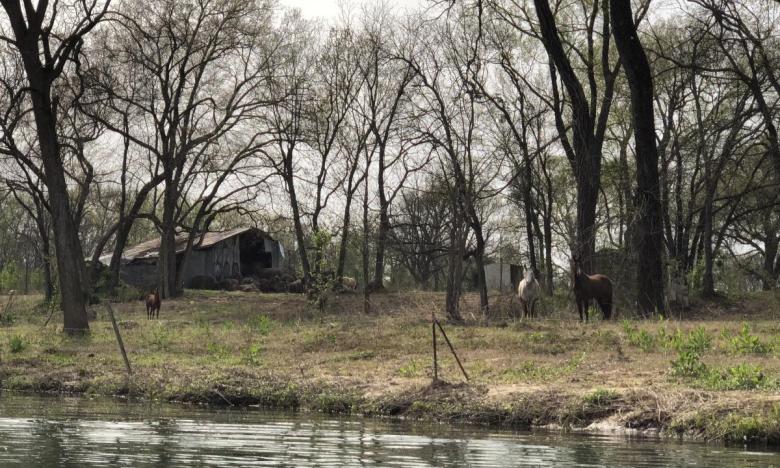 The bayou winds through rural farms.