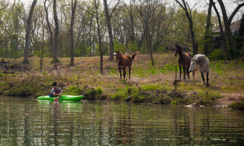 kayaking polk bayou arkansas.com