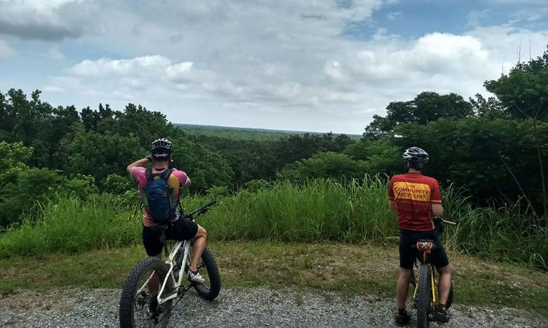 Crowley's Ridge Scenic Overlook