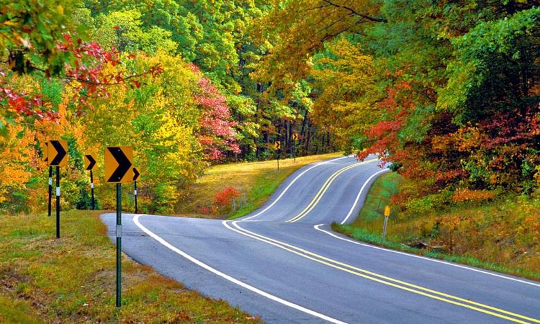 Image result for arkansas fall colors public use