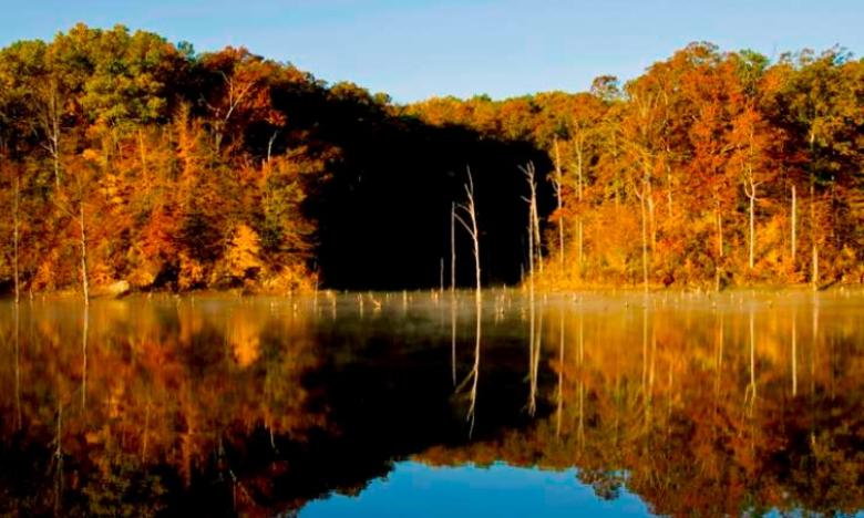 Village Creek State Park