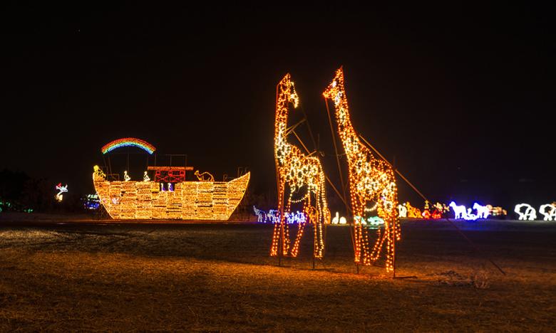 Lights of the Delta