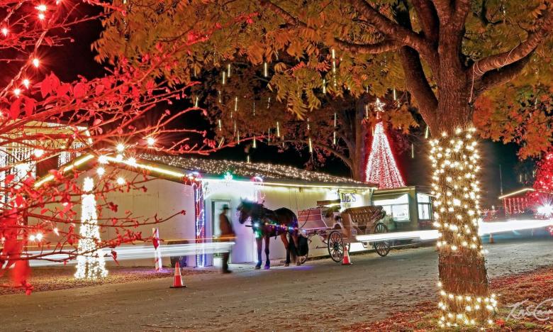 Holiday carriage rides in Batesville (photos by Kris Caraway)