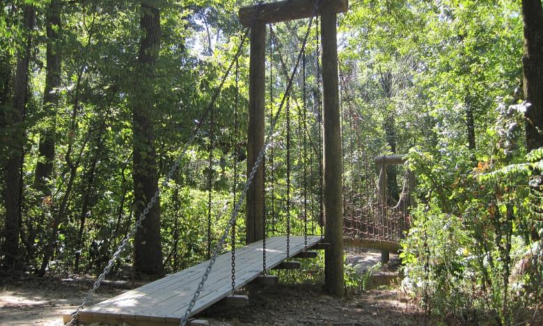 Dancing Rabbit Trail