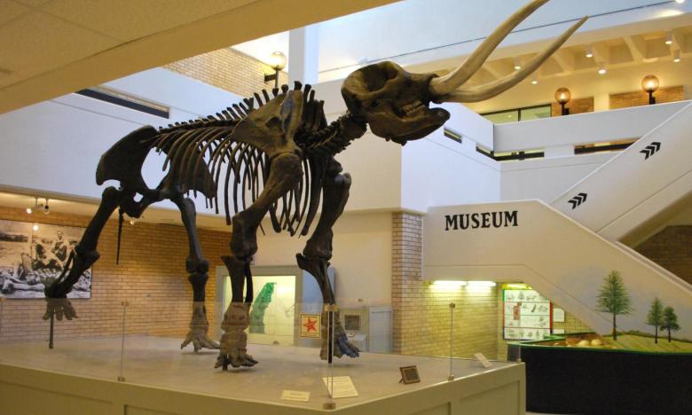 Arkansas State University Museum