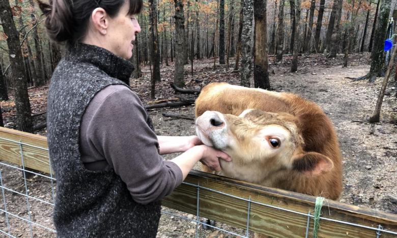 Ruth petting a cow