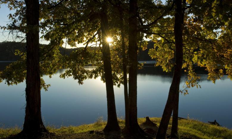 enjoy the beauty of the Arkansas Delta and Crowley's Ridge at Village Creek State Park
