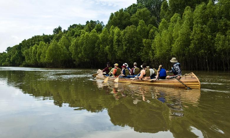 enjoy the natural beauty of the lower Mississippi River