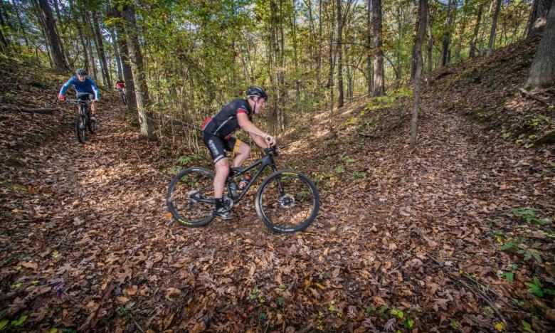 Biking curves in Townsend Hobbs woods