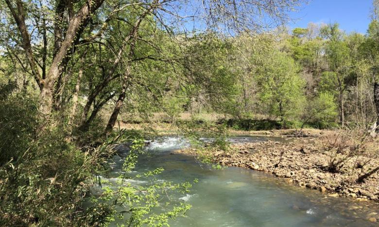 Little Buffalo River