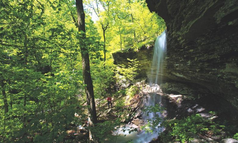 Behold the beauty of Senyard Falls