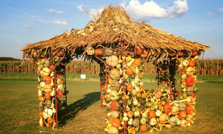 pumpkins mean fall!!!