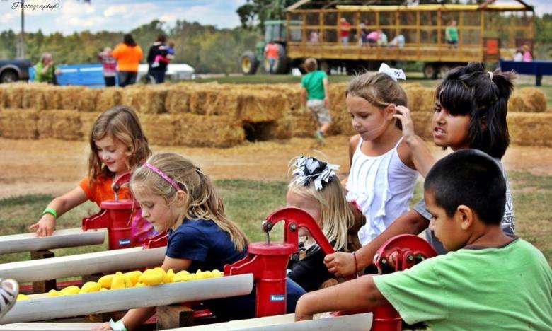 Peebles Farm and Corn Maze near Augusta