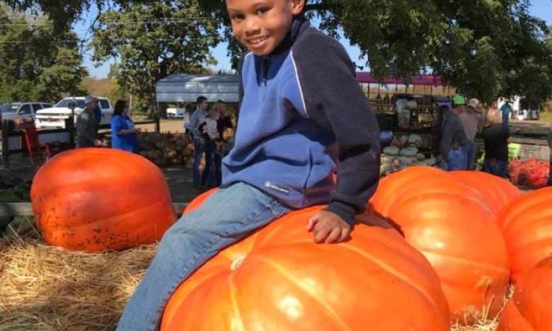 find the perfect pumpkin at Peebles Farm 
